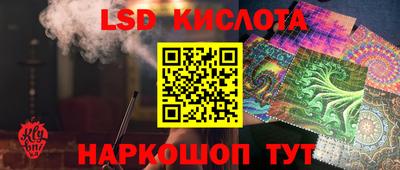 амф Гусев