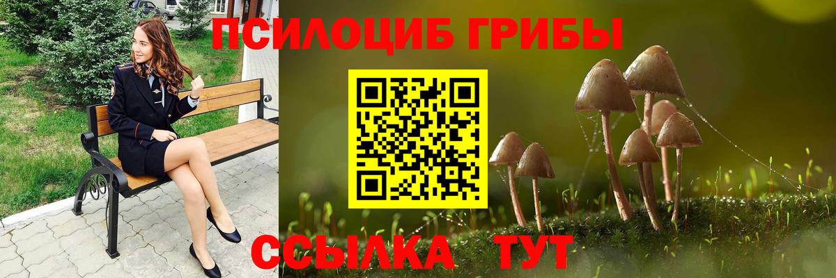 Волгодонск  Псилоцибиновые грибы ЛСД  Вход с VPN 